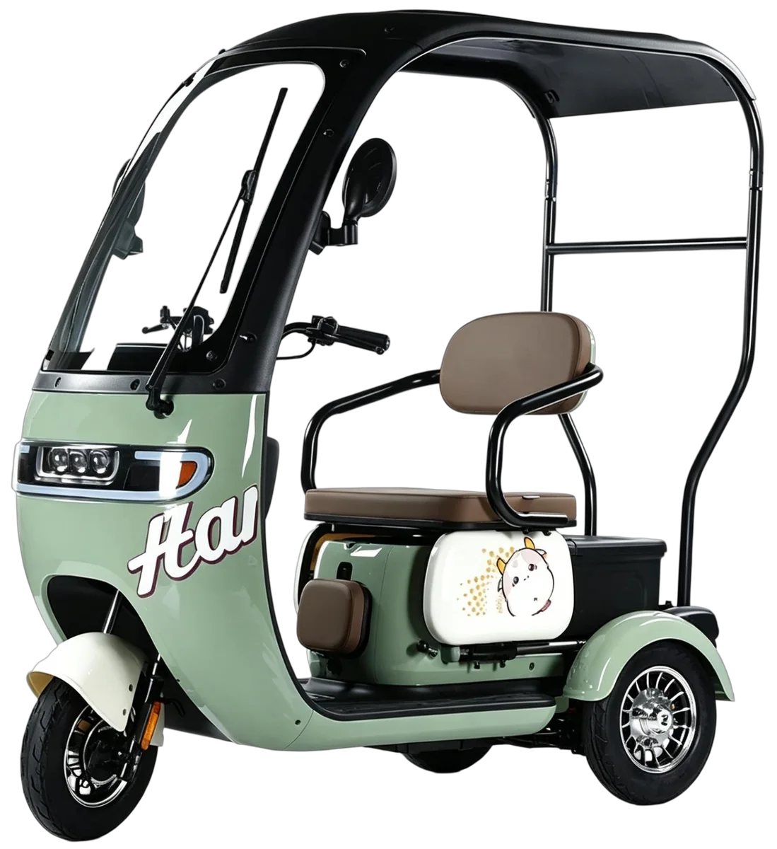 YT-HN-N5 electric vehicle